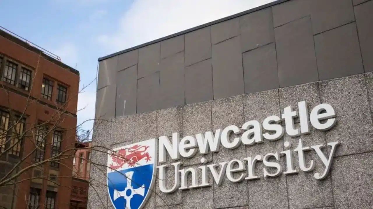 University of Newcastle Scholarships for Excellence in Africa